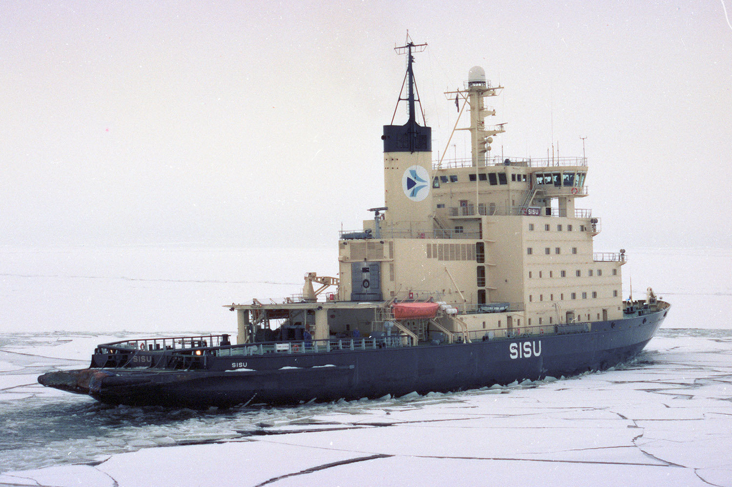 Sisu