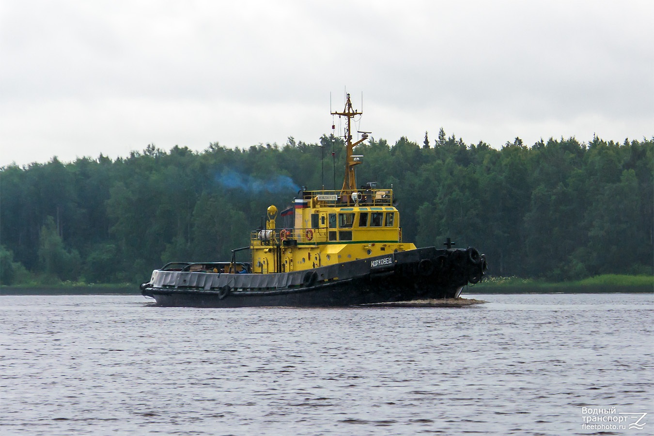 Моржовец
