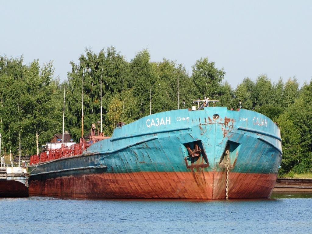 Сазан