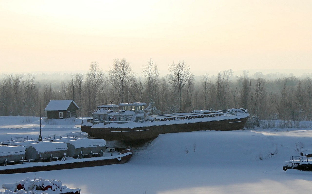 ШС-20