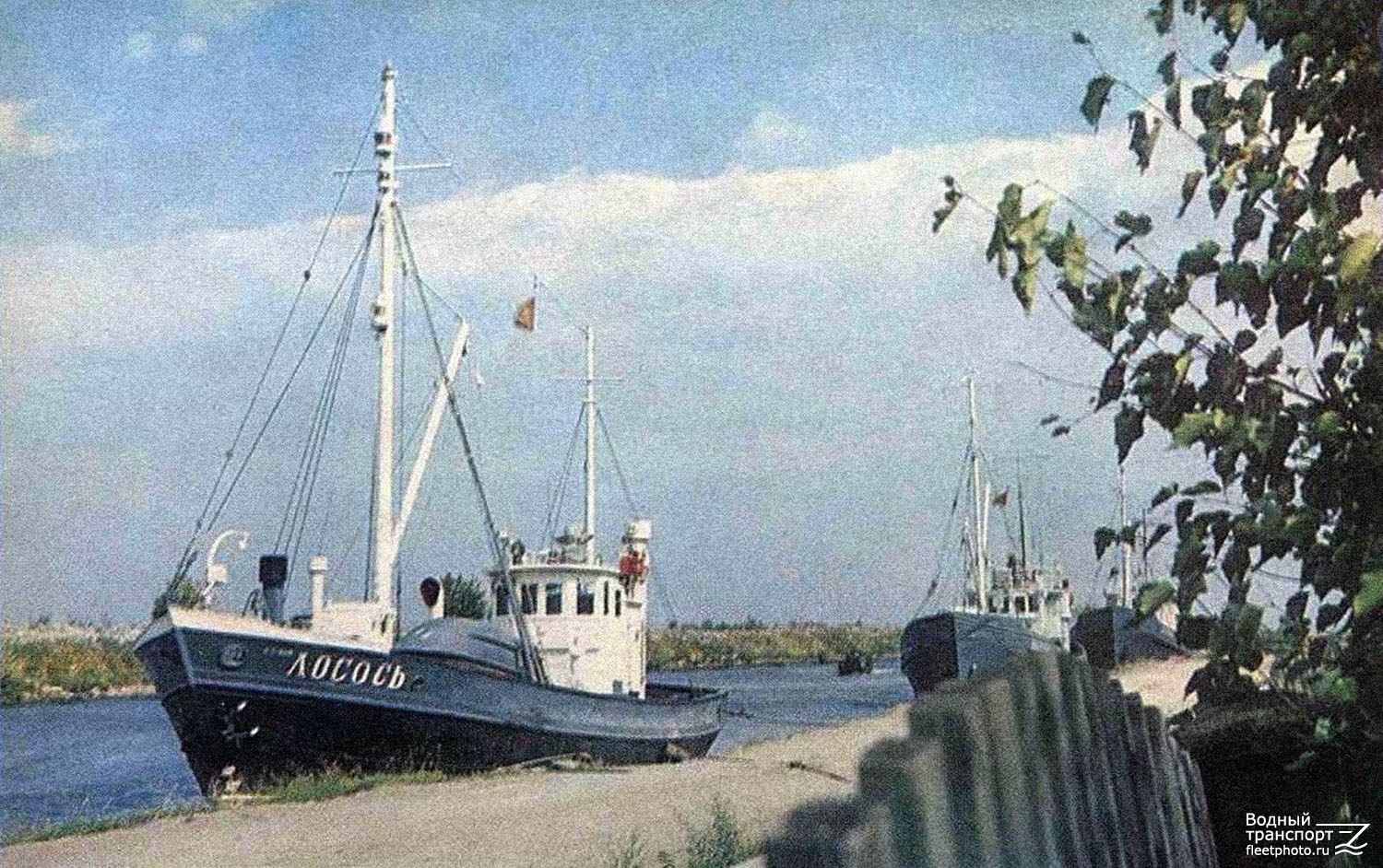 Лосось. Книги, фотоальбомы и периодические издания