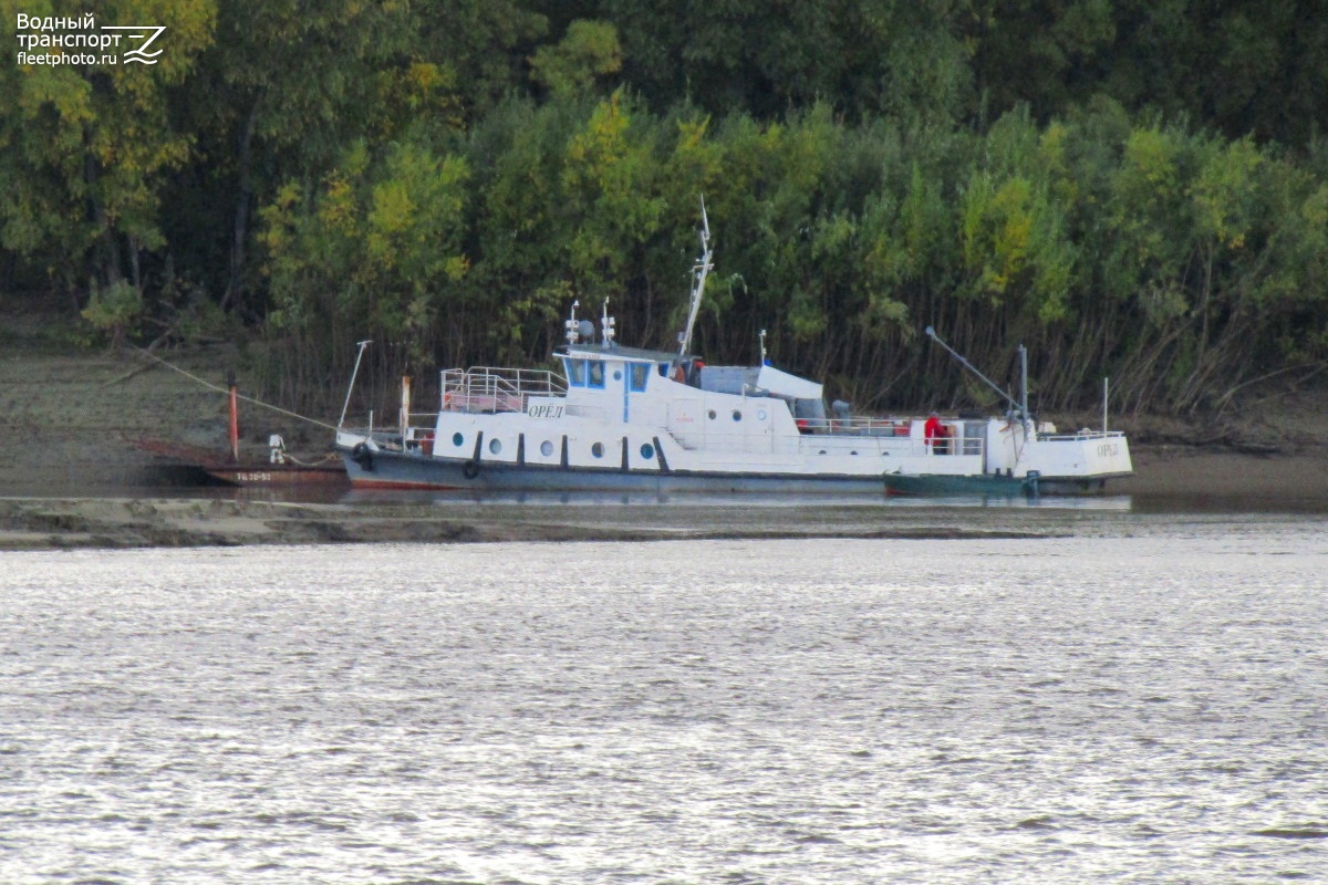 Орёл