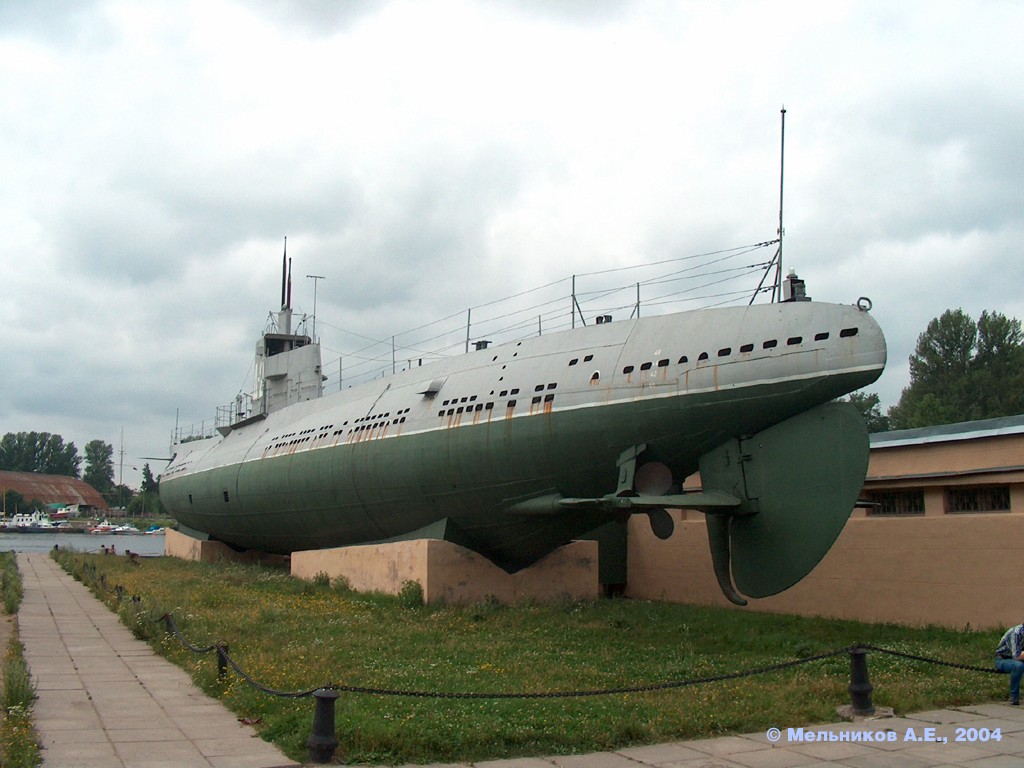Д-2 Народоволец