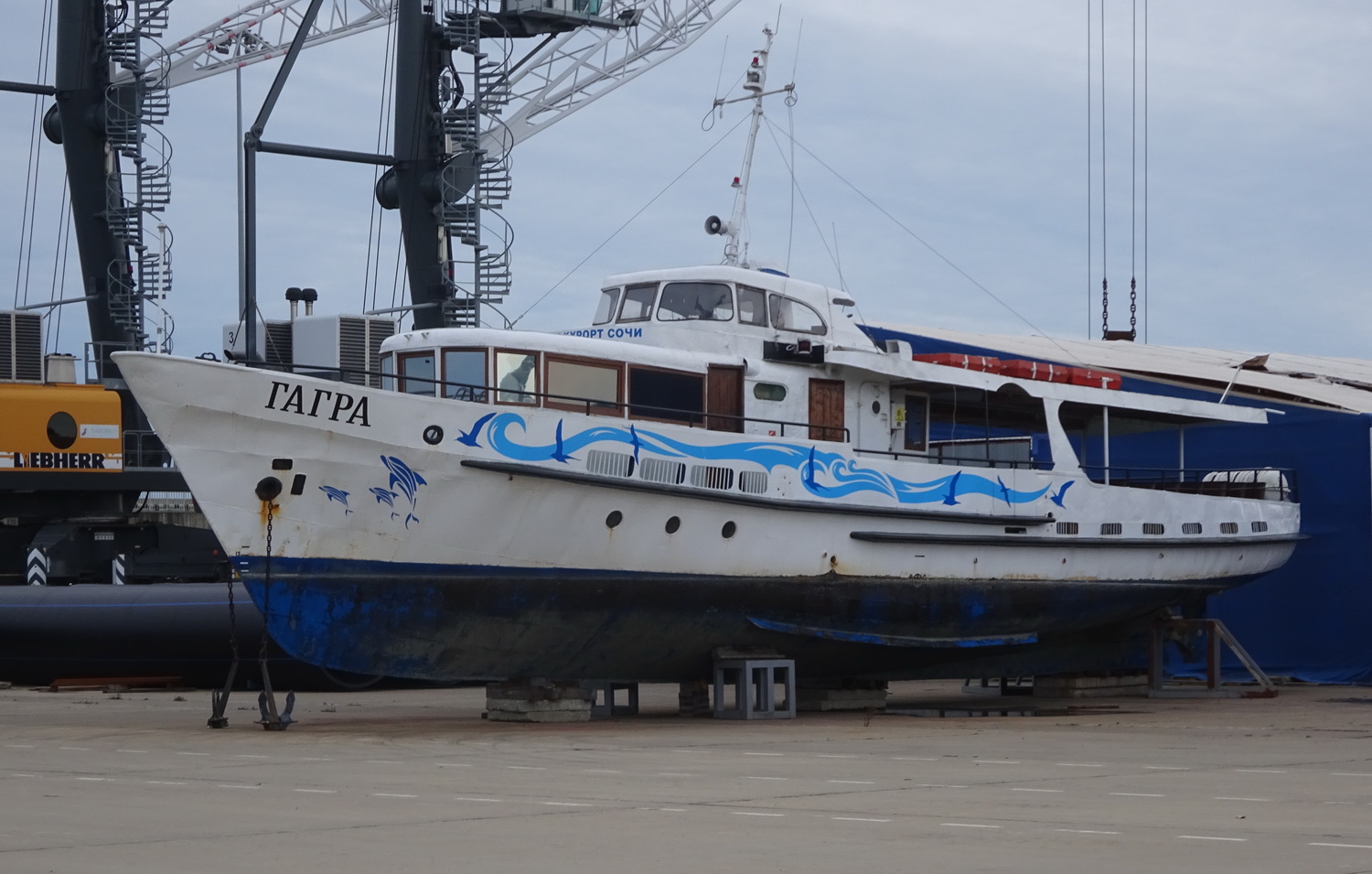 Гагра