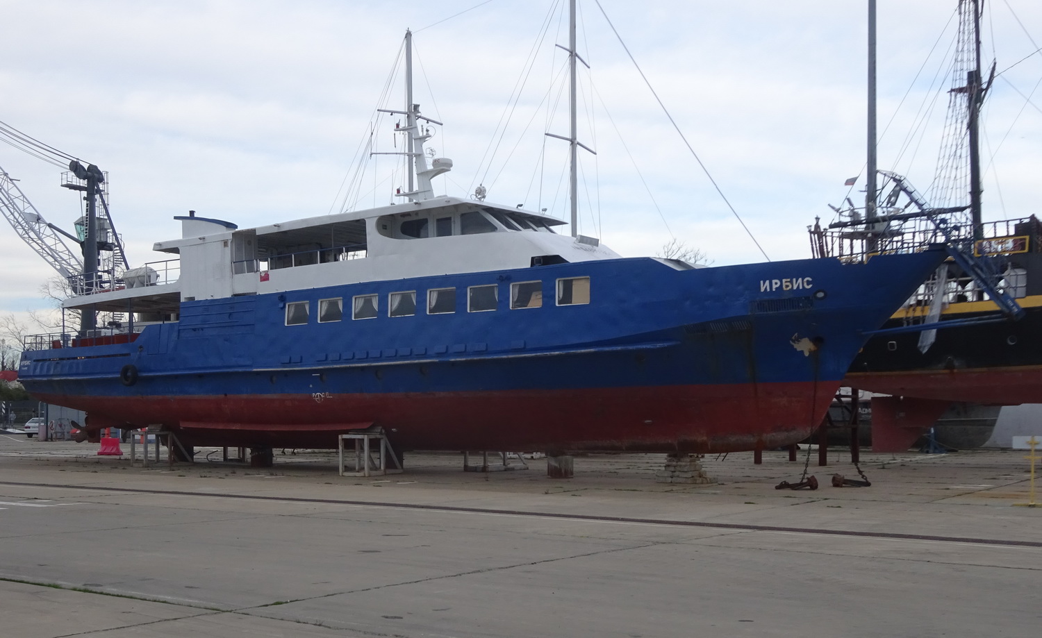 Ирбис