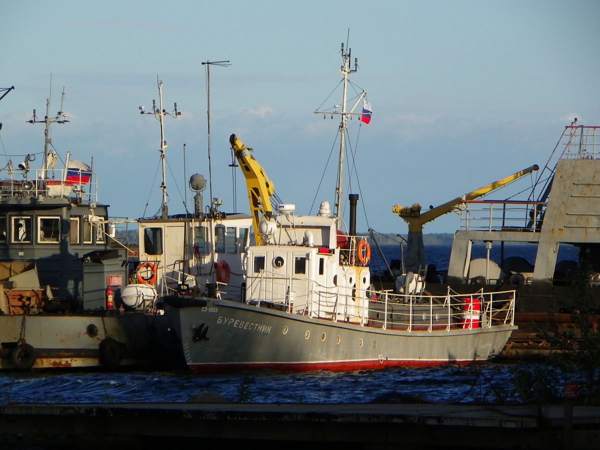 Буревестник