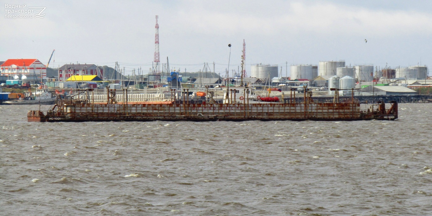 НС-1001