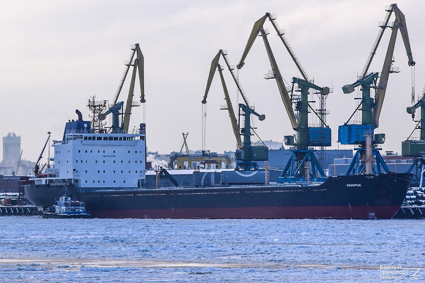 Поморье, Зана