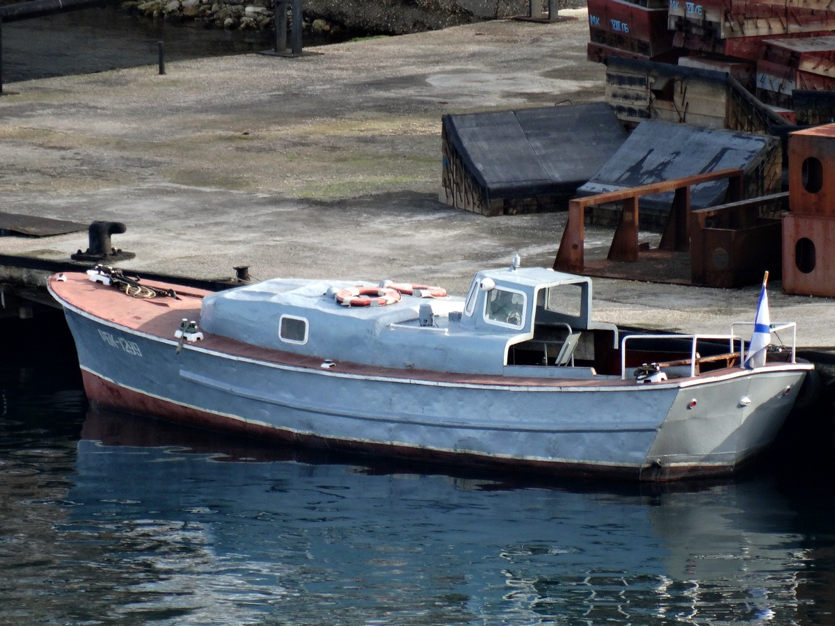 РБК-1299