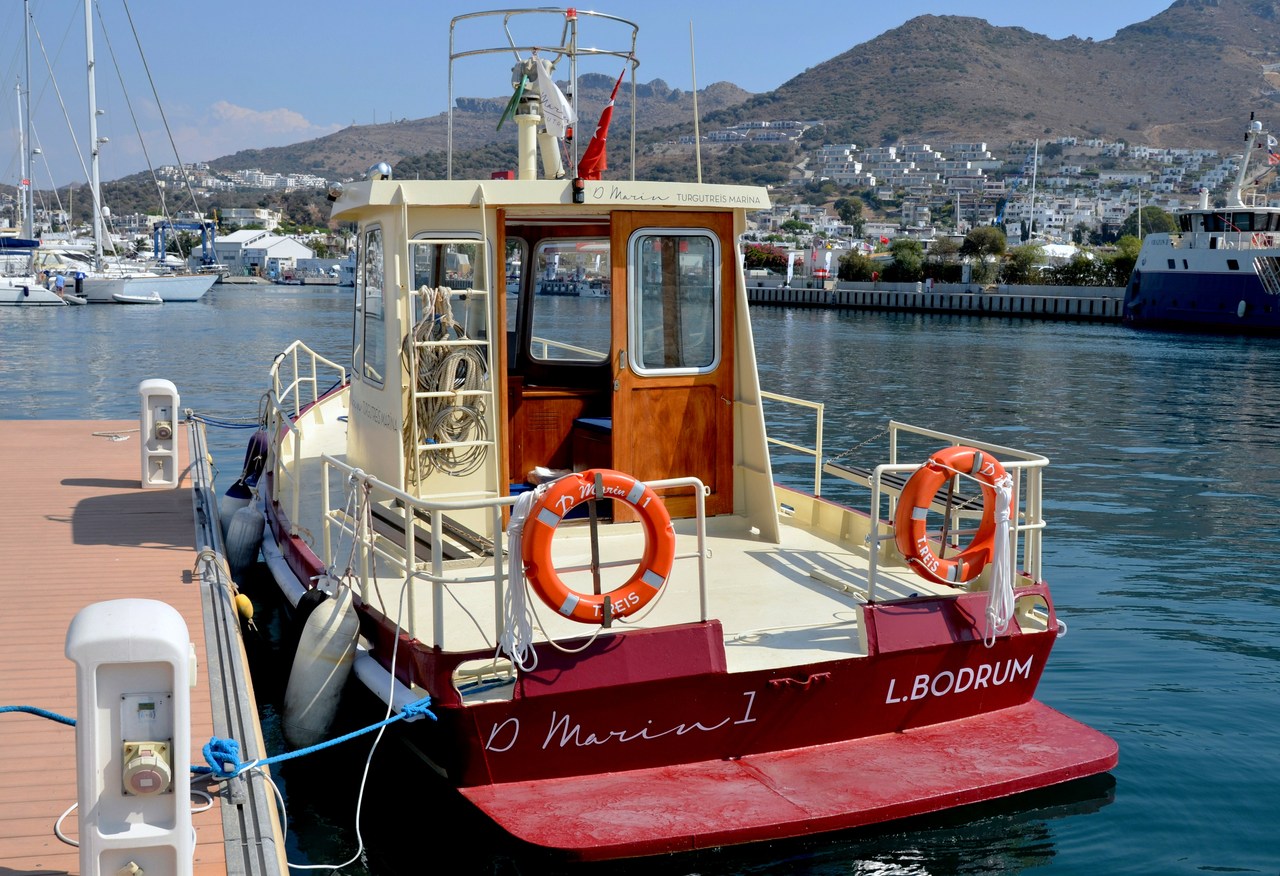D Marin 1