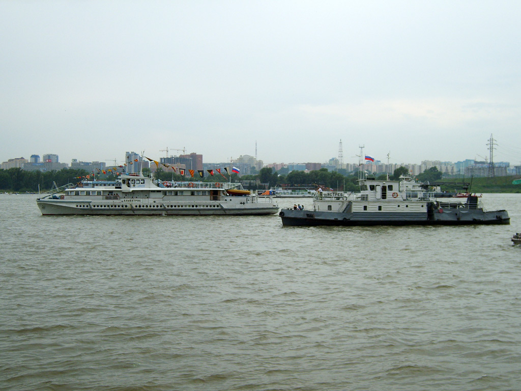 Альбатрос, Ястреб