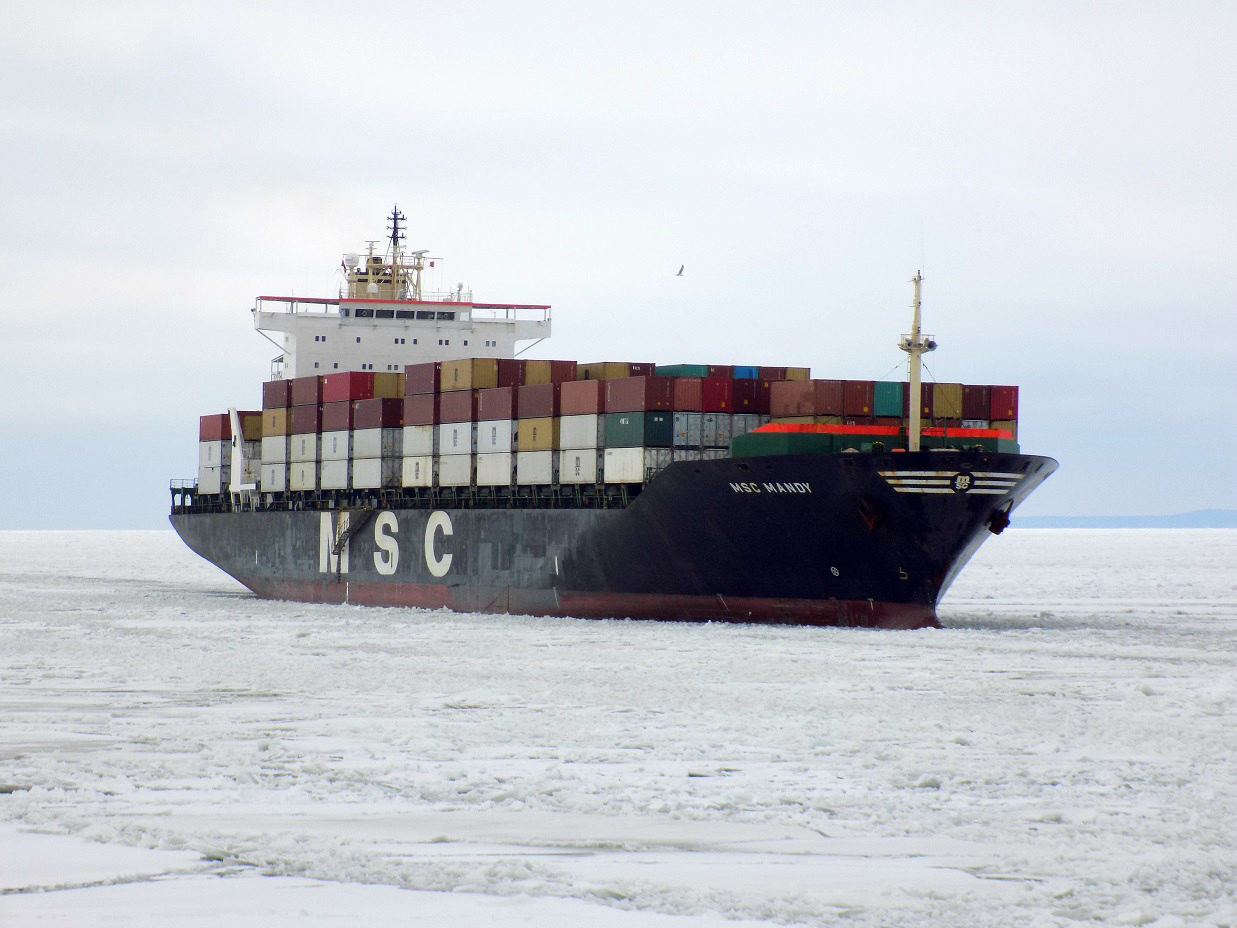 MSC Mandy