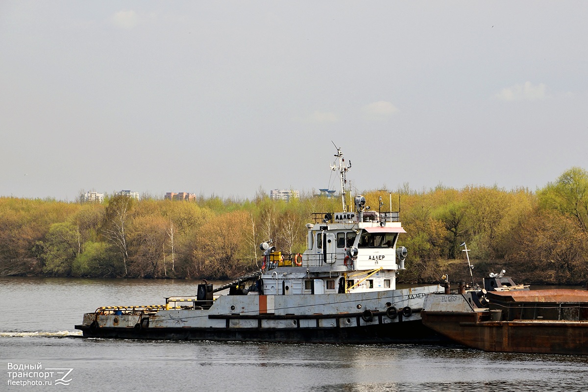 Адлер
