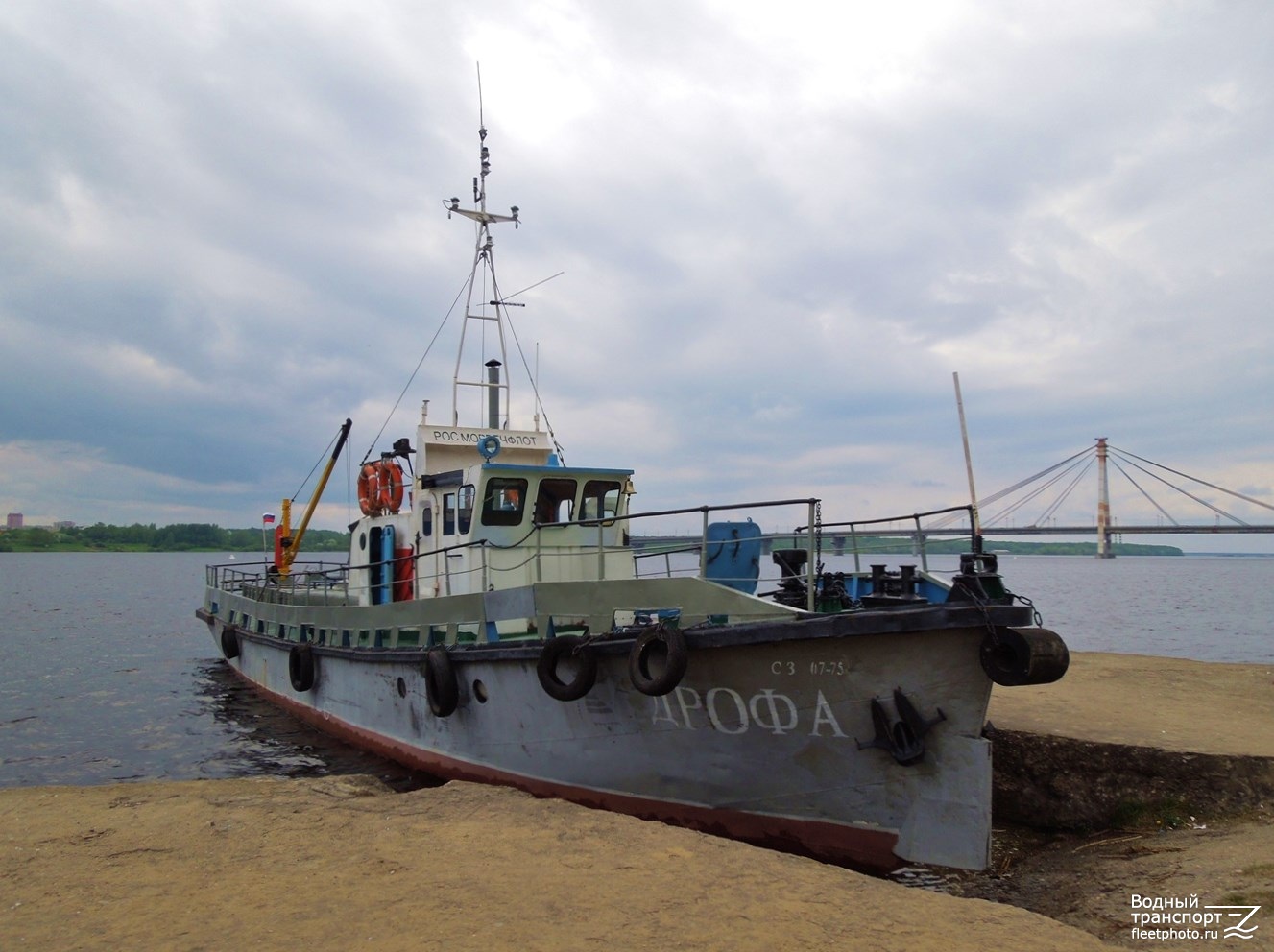 Дрофа