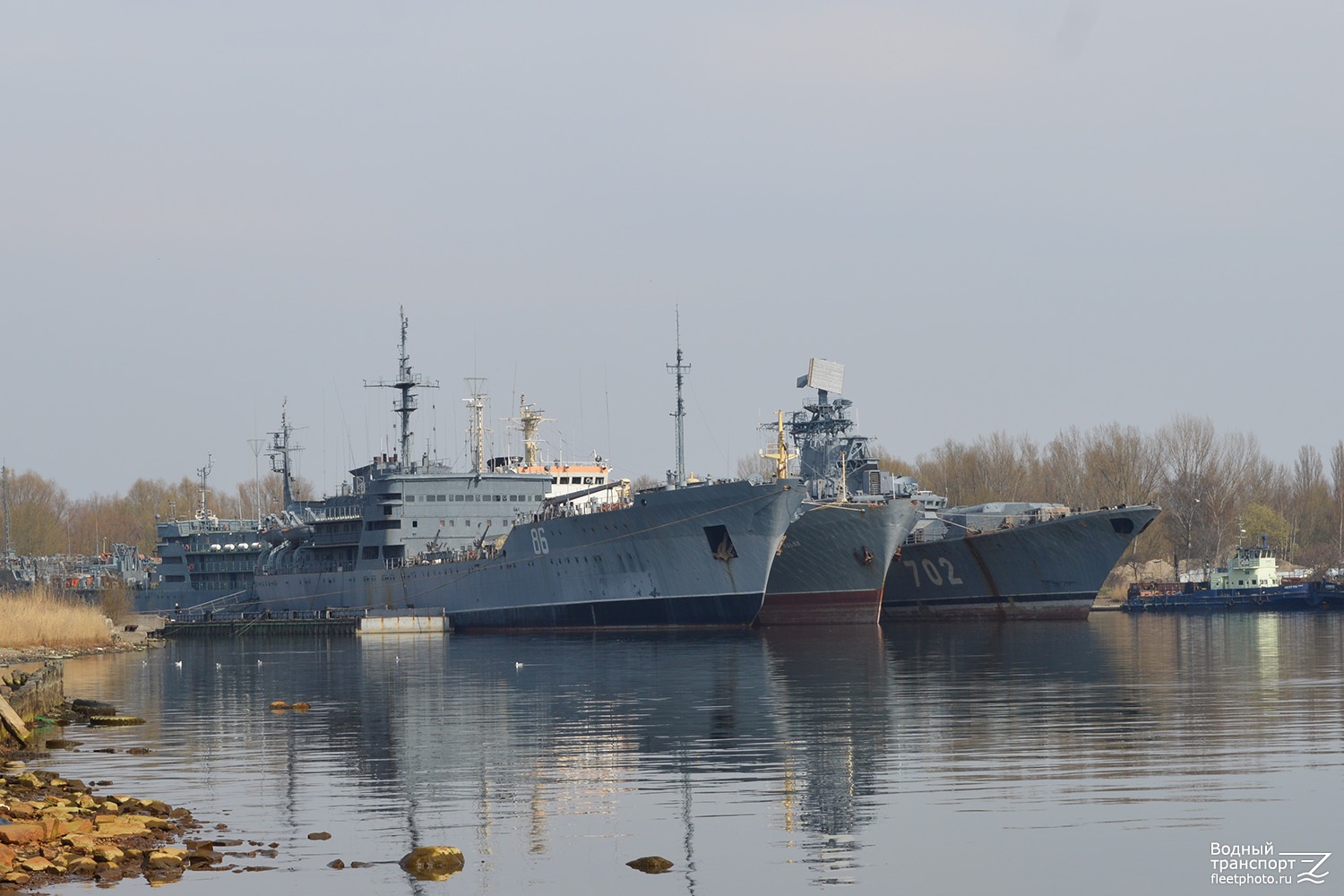 Ельня