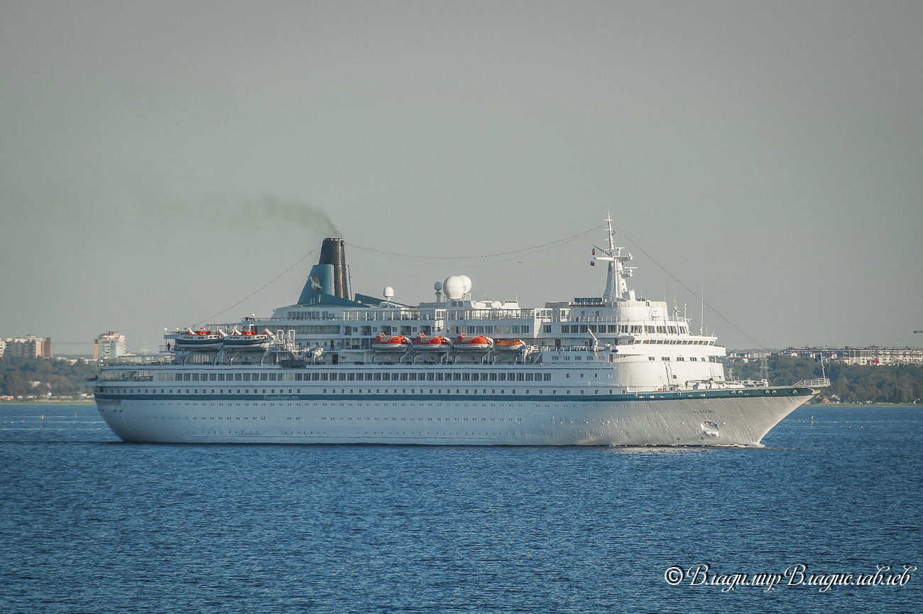 Albatros