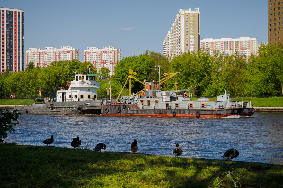 Прибой, ДТ-3