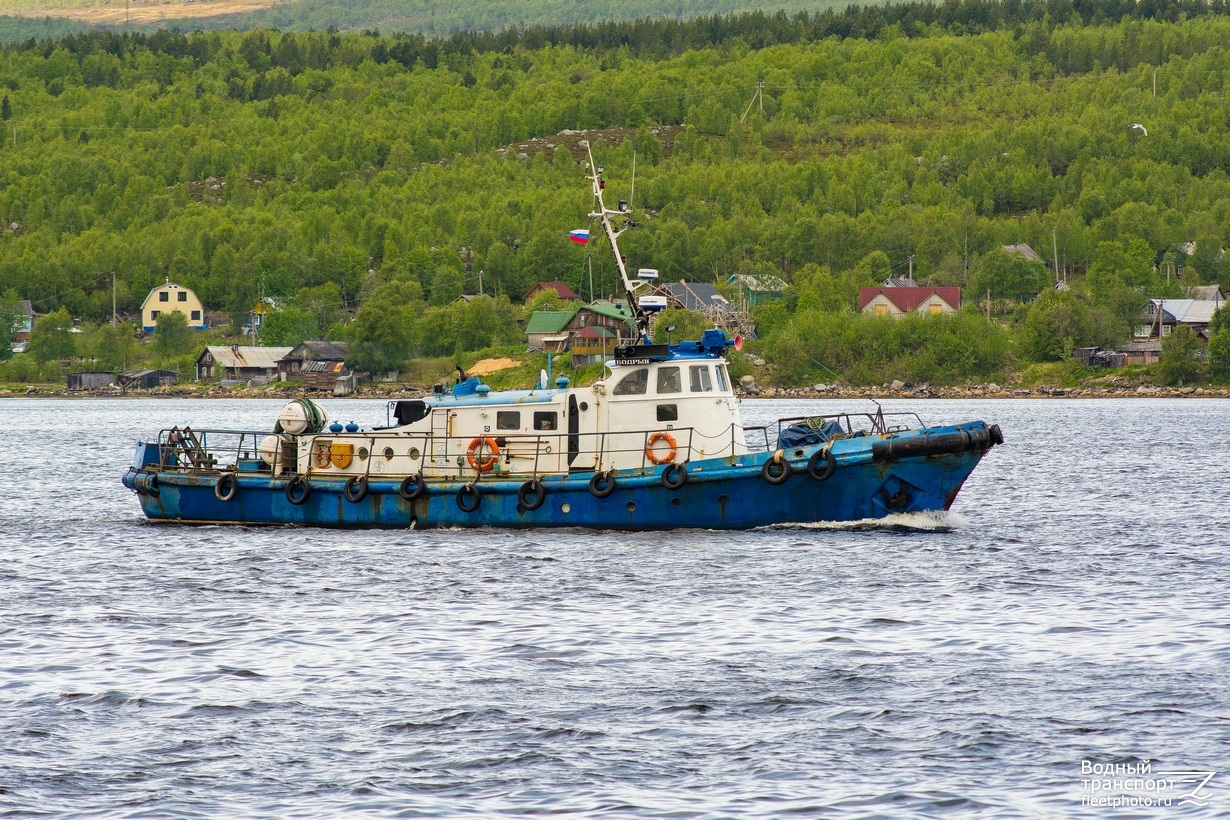 Бодрый