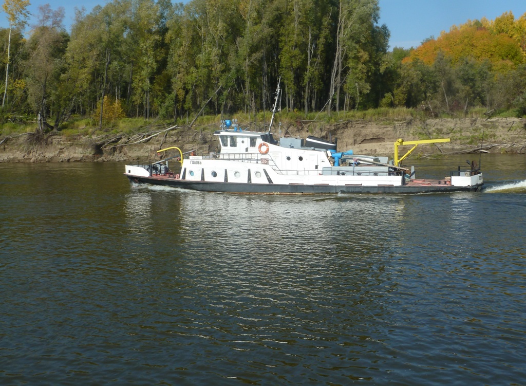 Голубь