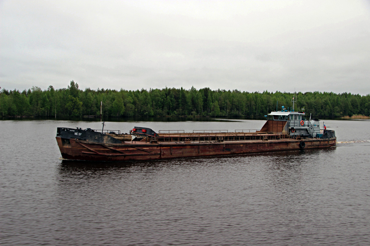 ШС-37