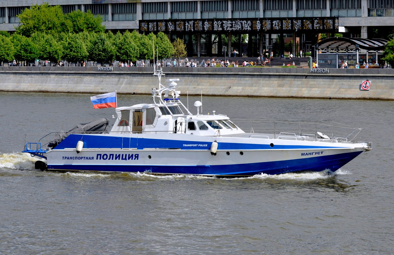 Мангуст