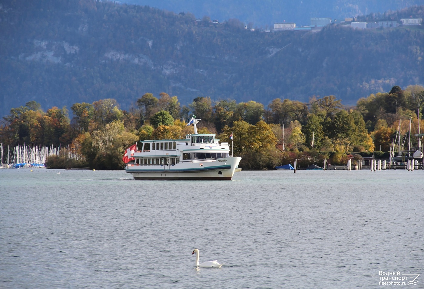 Brunnen