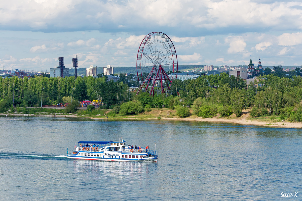 Лебедь