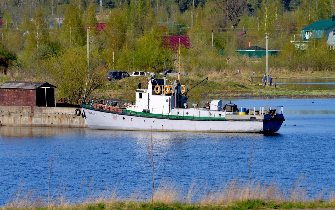 Шквал-1