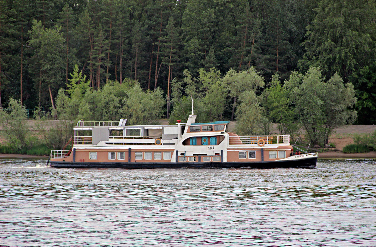 Бирюса