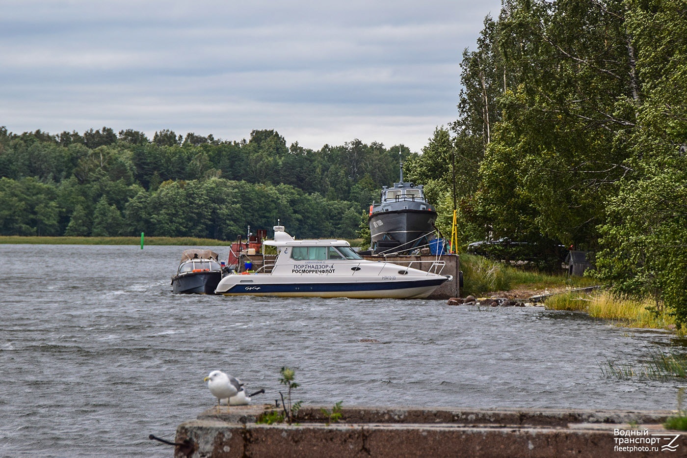 РК-229, Портнадзор-4