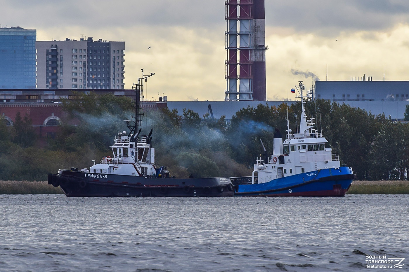 Грифон-8, Таурус