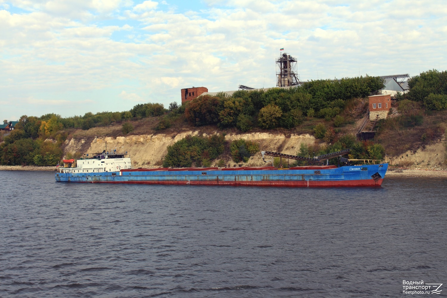 Соколки