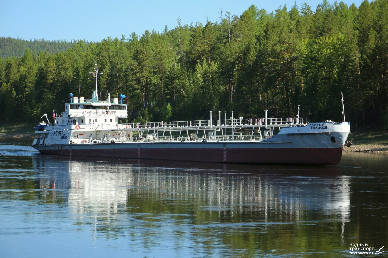 Алексей Пахомов