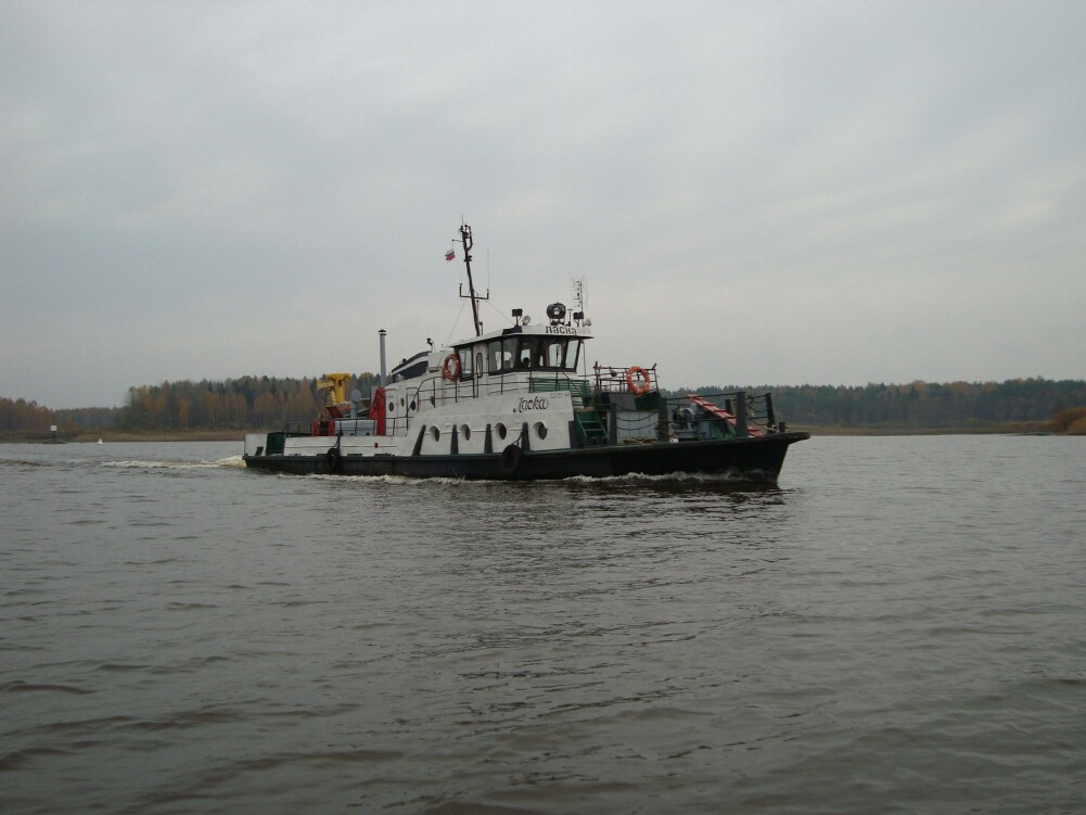 Ласка