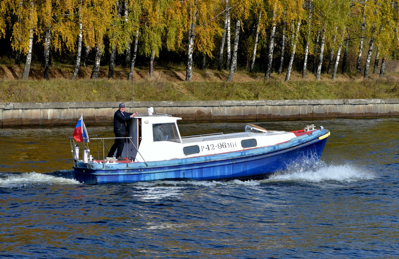 Бора