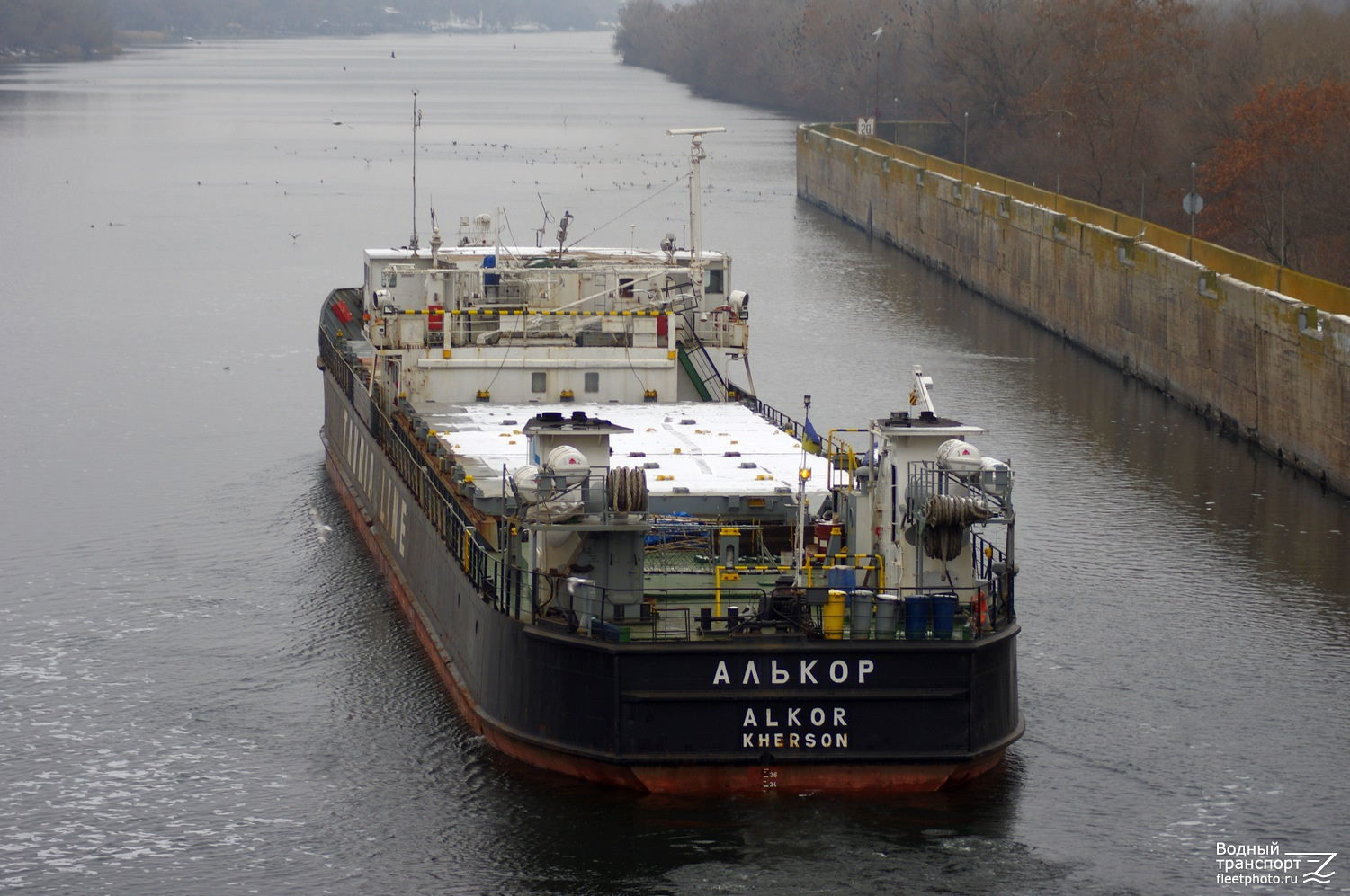 Алькор