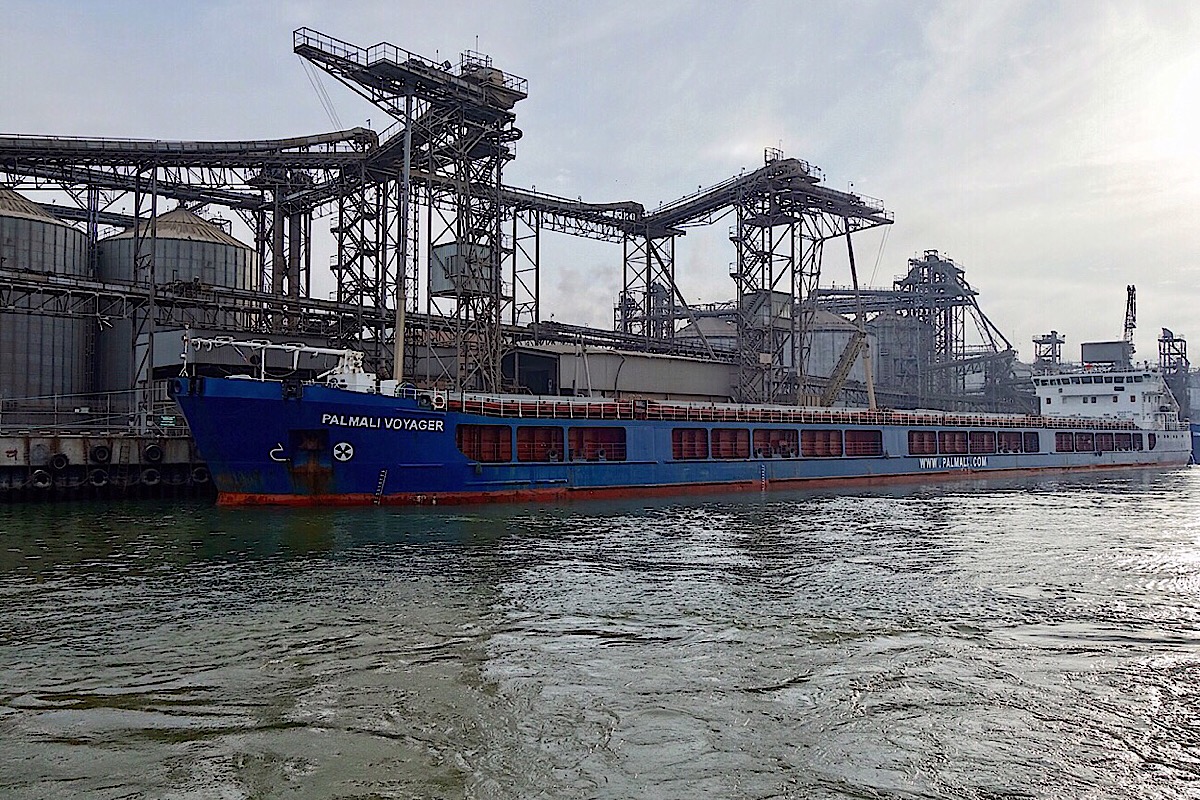 Palmali Voyager