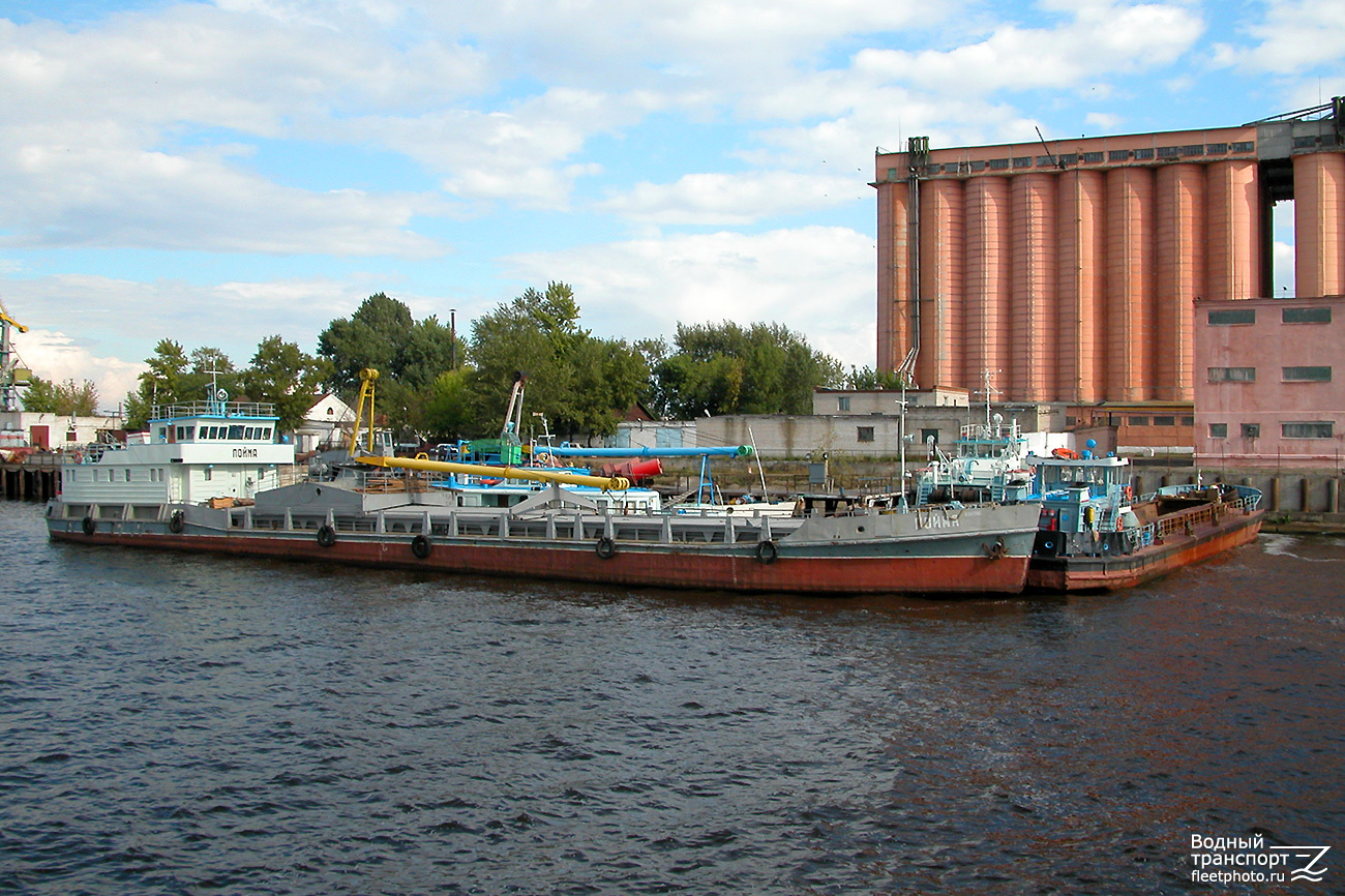Пойма