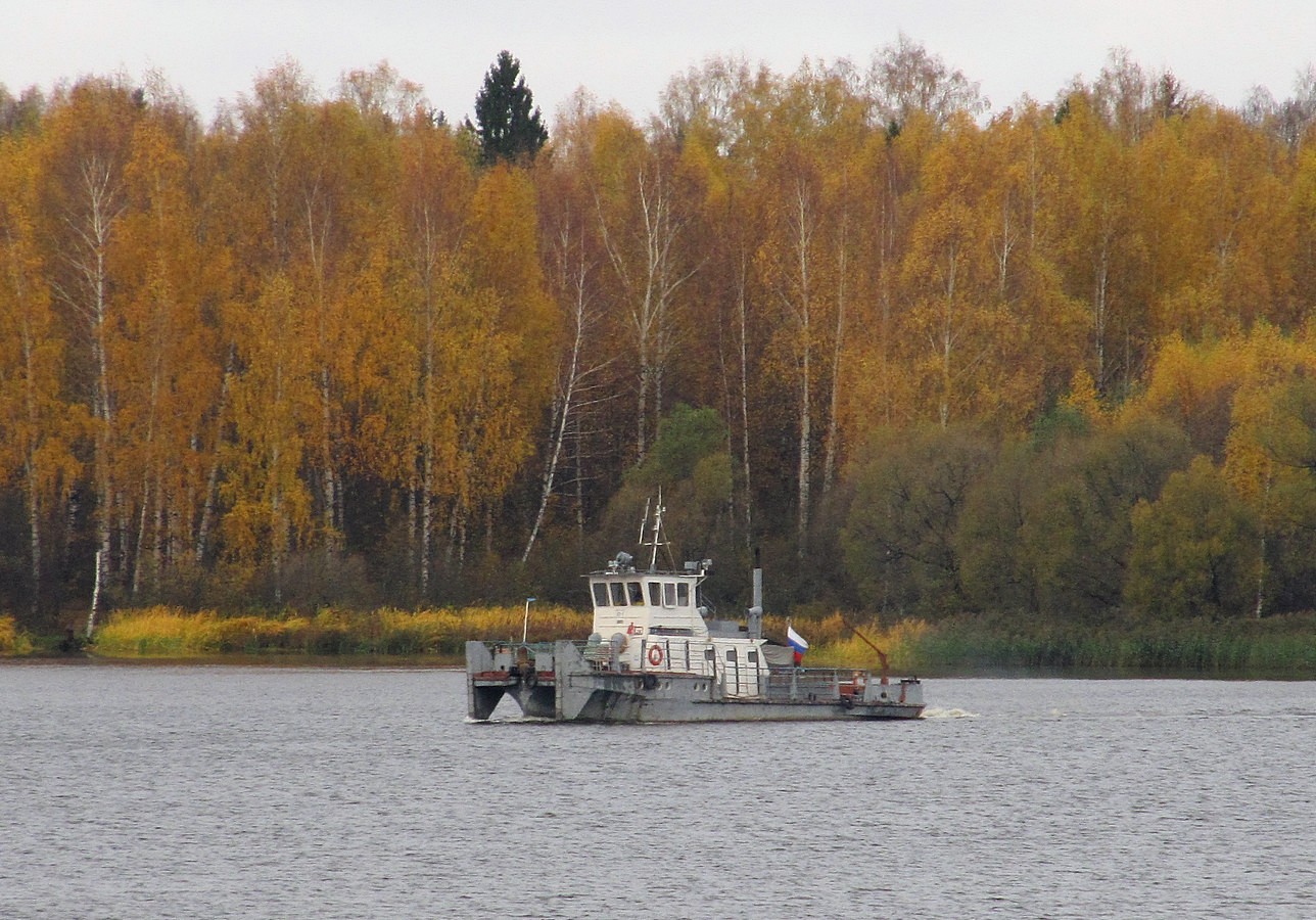 БТ-1