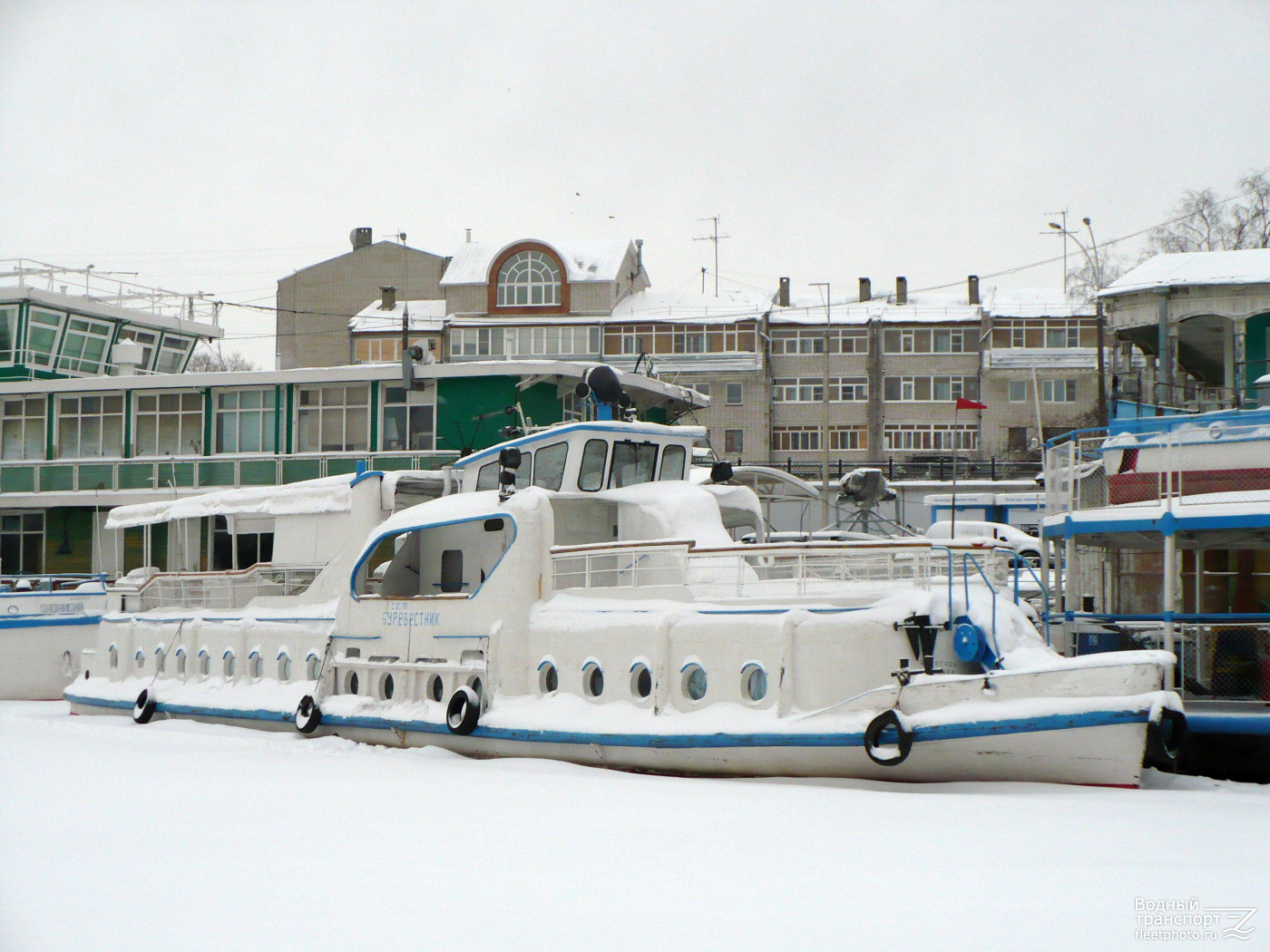 Буревестник