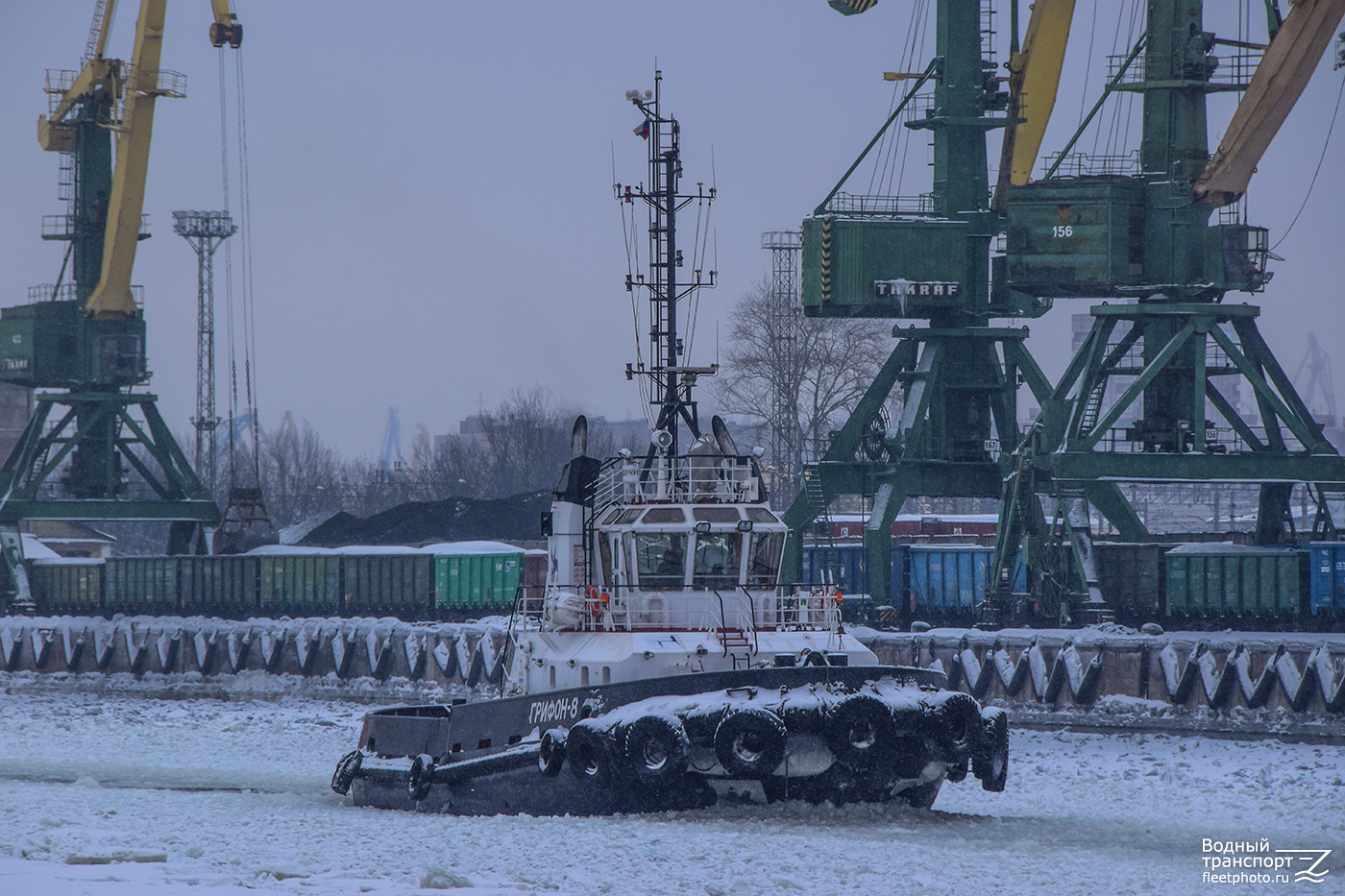 Грифон-8