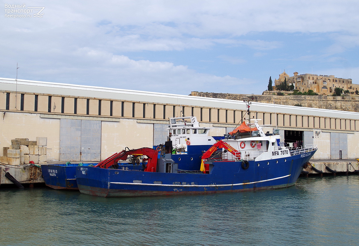 Pesce Azzurro