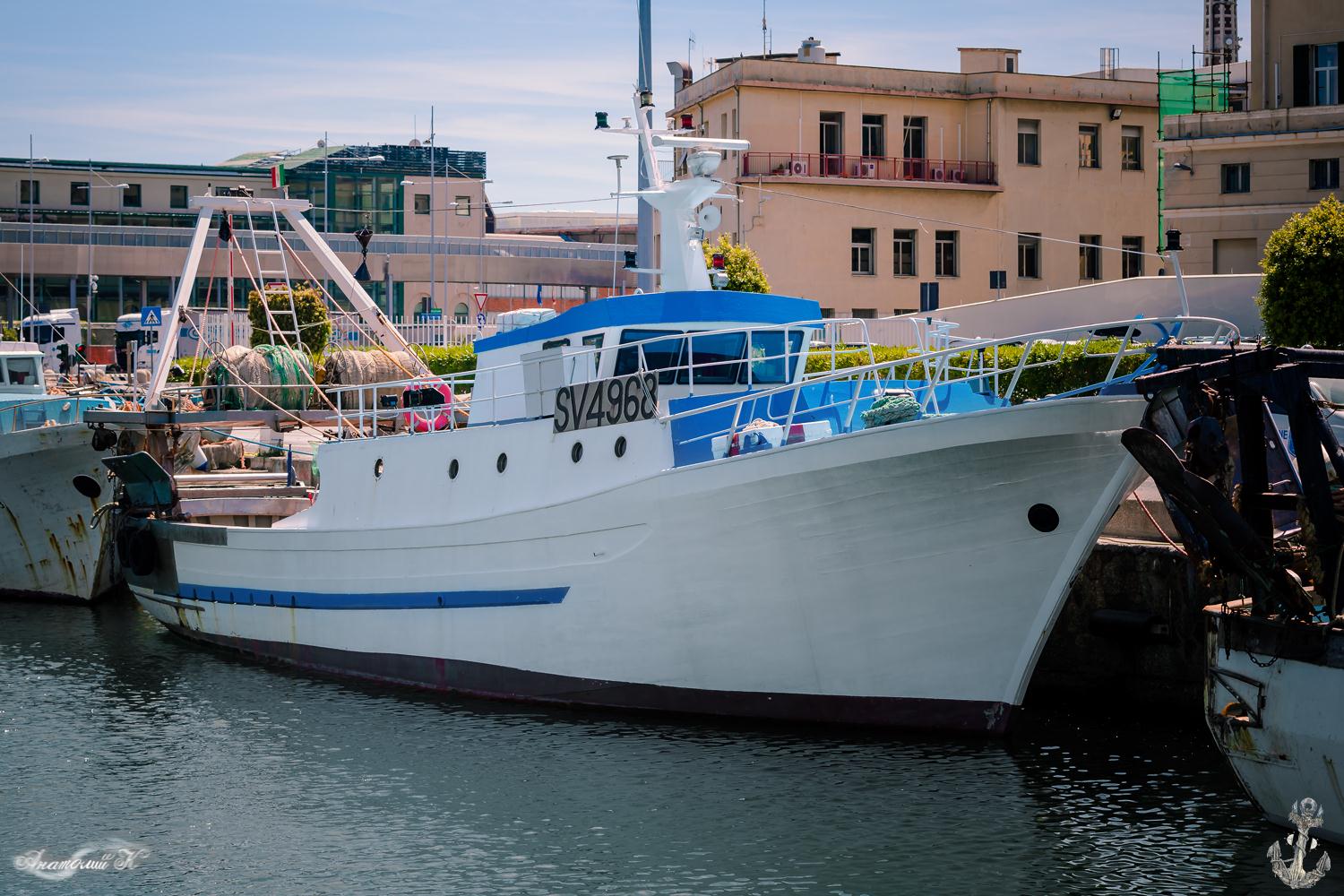 P. D'Ercole