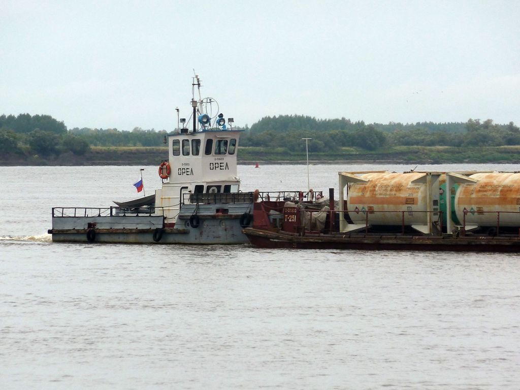 Орёл
