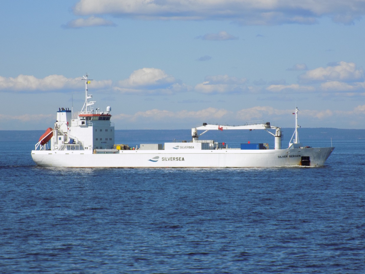 Silver Bergen