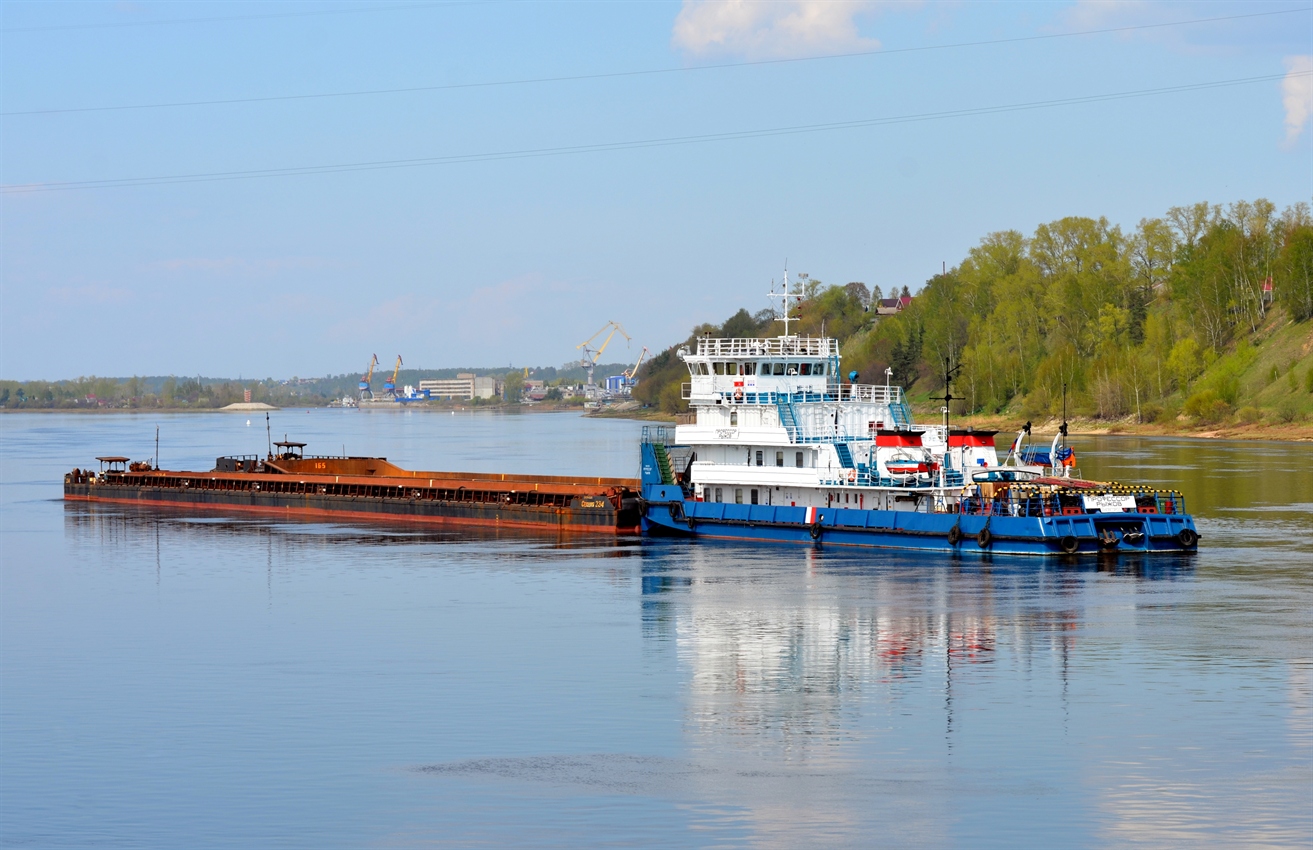Секция-234, Профессор Рыжов