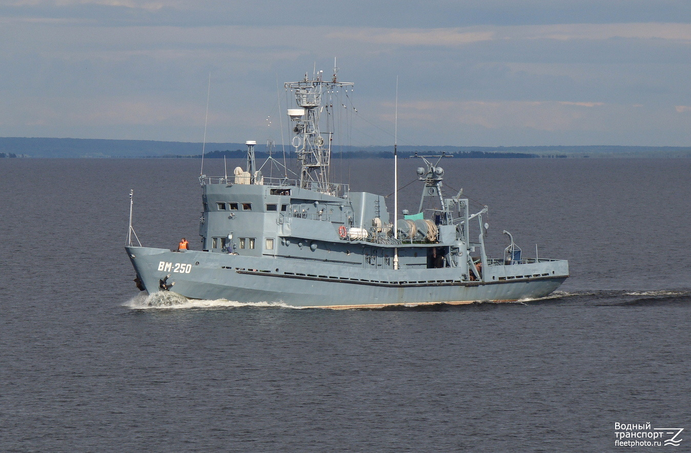 ВМ-250