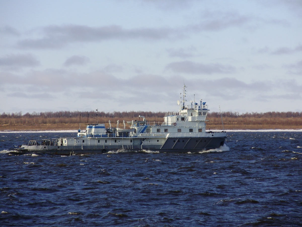 Механик Руденко