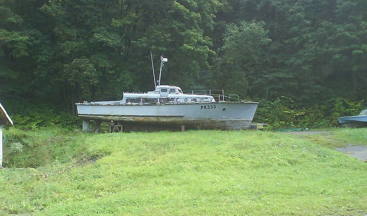 Vytis-1