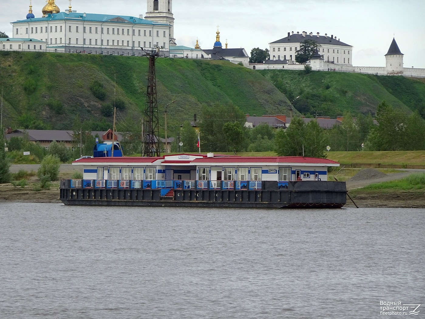 ДМ-01